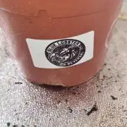 Blue Lobster Auto - CS Reversal