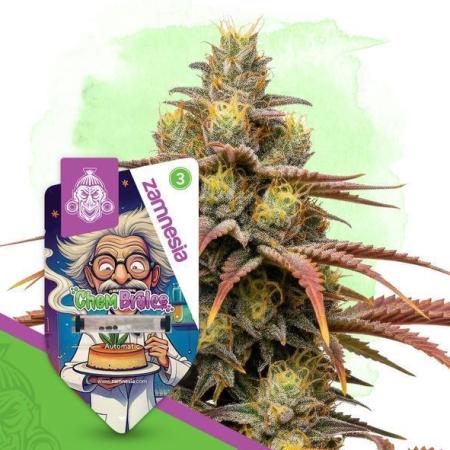 Chem Brulee Auto (Zamnesia Seeds)