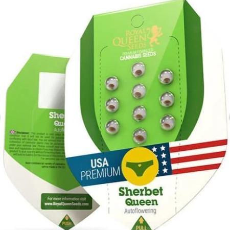 RQS / Sherbet Queen Auto