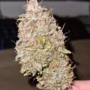 RQS / Triple G Auto ✔️