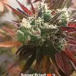 Super Fried Applez ‍♂️🍗🍎