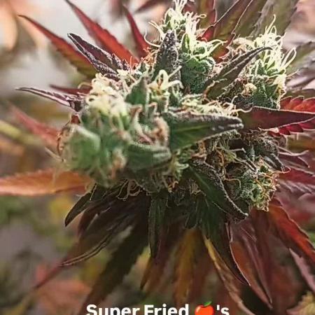 Super Fried Applez ‍♂️🍗🍎