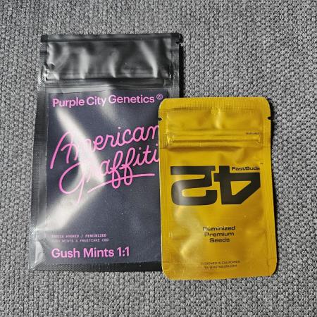 CBD is GREAT! Gush Mints 1:1 - PCG
