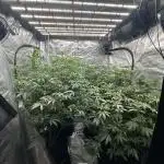 Sugar Rim- Fall Photos