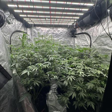 Sugar Rim- Fall Photos