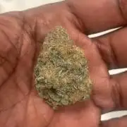 (2)BBMxNf90s1 / GmintZxcheesedanish