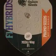 Milkyway F1 Auto RQS