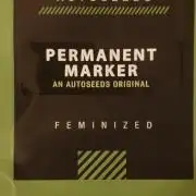 Permanent Marker Autoseeds