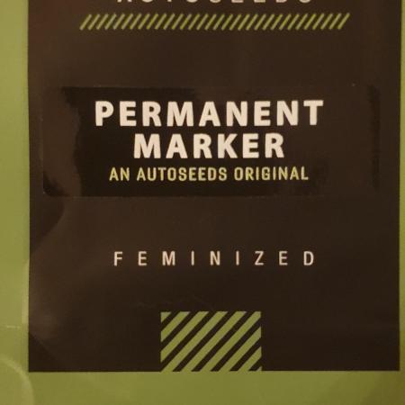 Permanent Marker Autoseeds
