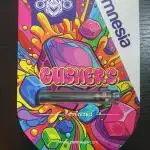Gushers Zamnesia