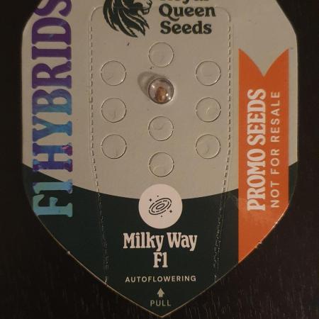 Milkyway F1 Auto RQS