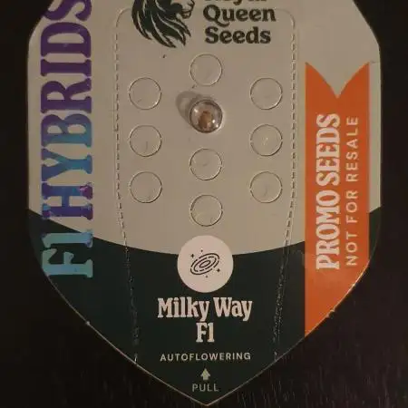 Milkyway F1 Auto RQS