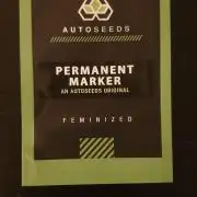 Permanent Marker Autoseeds