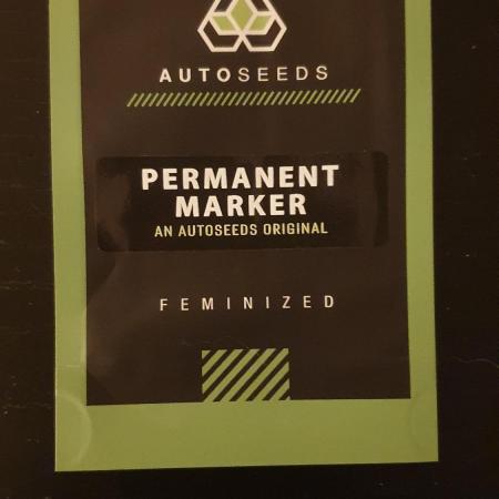 Permanent Marker Autoseeds