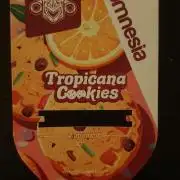 Tropicana Cookies Auto Zamnesia
