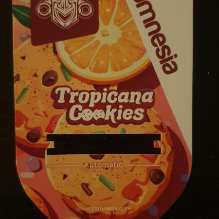 Tropicana Cookies Auto Zamnesia