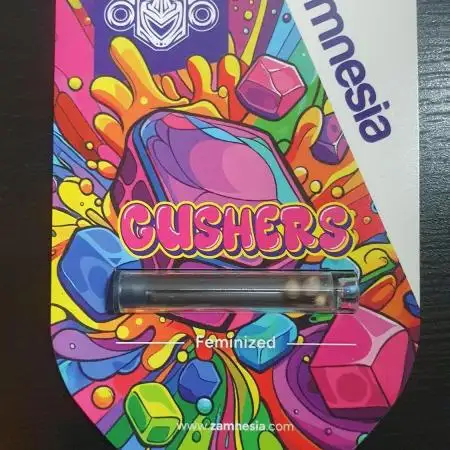 Gushers Zamnesia