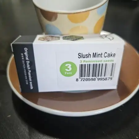 Slush Mint Cake Dutch Passion