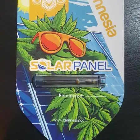 Solar Panel Zamnesia