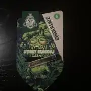 Sticky Brokkoli Zamnesia Eternity Cup