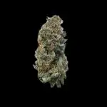 Auto SFV OG - Dutch Passion