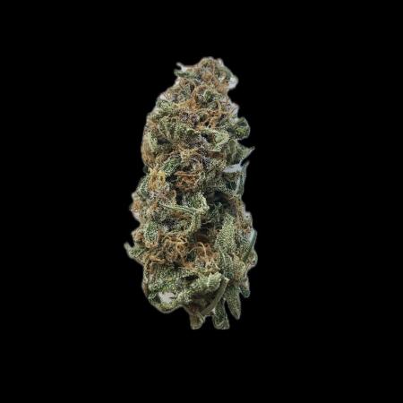 Auto SFV OG - Dutch Passion