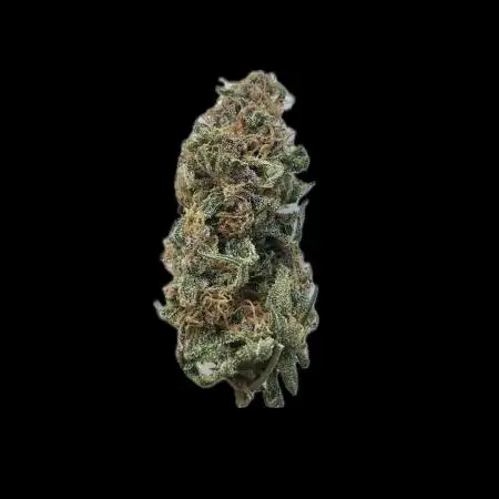 Auto SFV OG - Dutch Passion