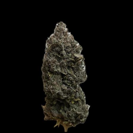 Skunk #1 - Sensi Seeds