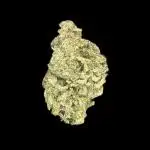 Auto Trichome & Cream - Dutch Passion