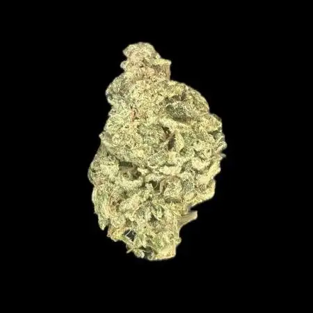 Auto Trichome & Cream - Dutch Passion