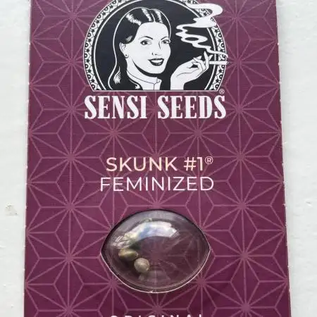 Skunk #1 - Sensi Seeds