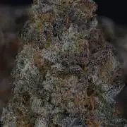Blue Mystic by RQS