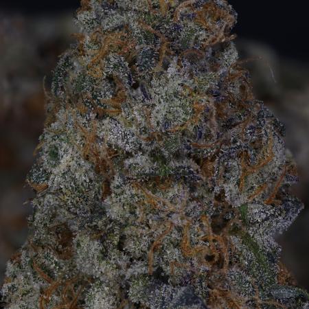 Blue Mystic by RQS