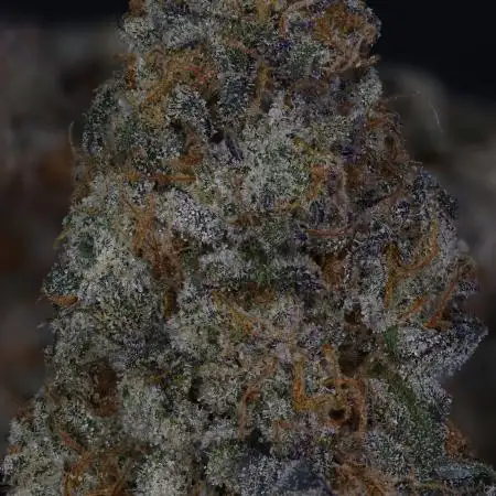 Blue Mystic by RQS