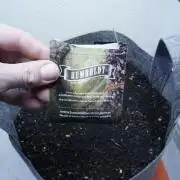 All Gas OG Auto x Sonnenerde