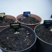The Great Outdoor Potpourri 2026