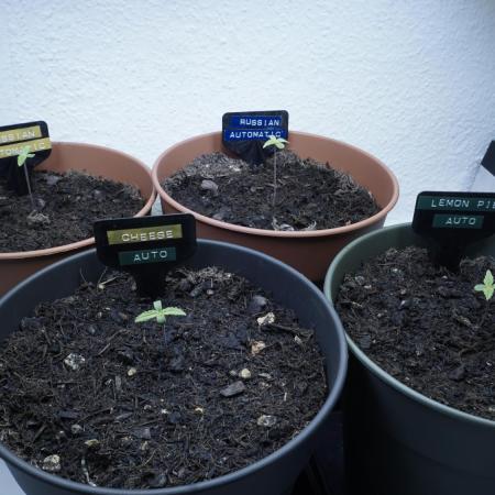 The Great Outdoor Potpourri 2026