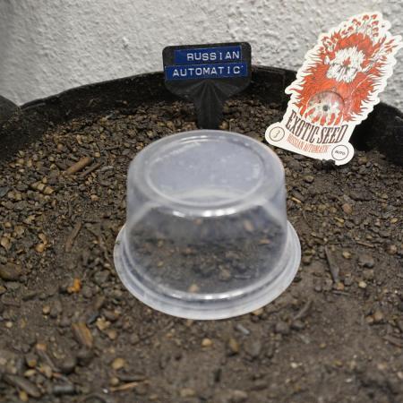 Russian Automatic X Sonnenerde