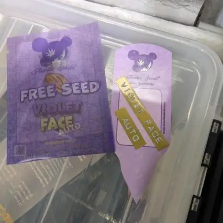 Violet Face Auto
