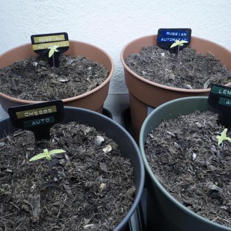 The Great Outdoor Potpourri 2026