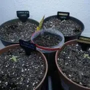 Outdoor Potpourri 2026 - Take 2