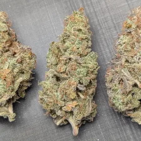 Rainbow Donut Auto
