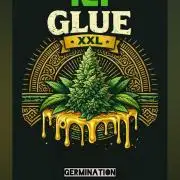 Auto Glue XXL Genetics