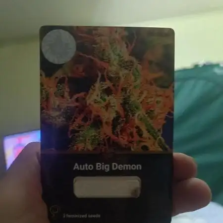 😈Auto Big Demon@DivineSeeds