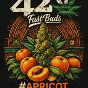 Apricot Auto@FastBuds