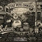 Fat Pete Cookies Auto@SSSC