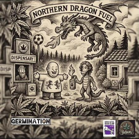 Northern dragon fuel Auto@SSSC