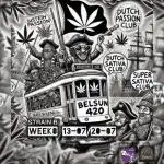 Strain B @Dutch Passion & SSSClub