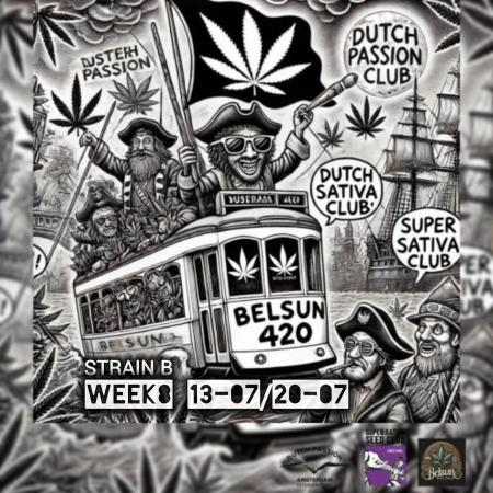 Strain B @Dutch Passion & SSSClub