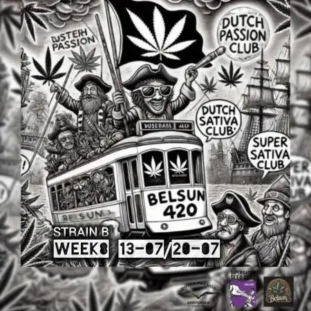 Strain B @Dutch Passion & SSSClub